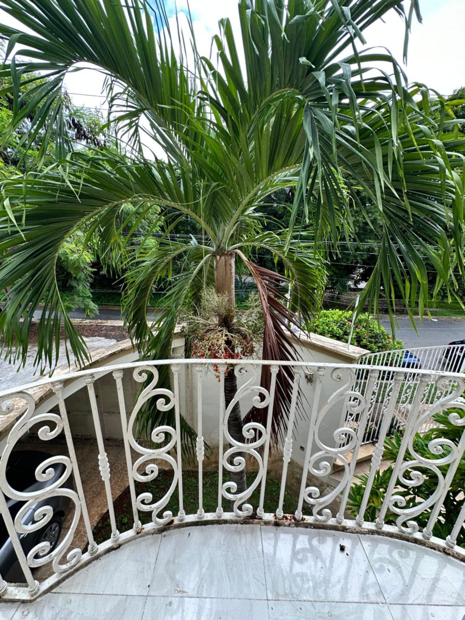 Casa Sasha'S Mini Palace Cancun Ngoại thất bức ảnh
